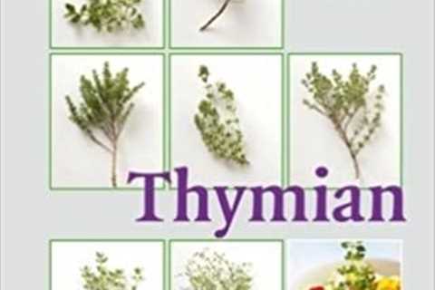 Thymian