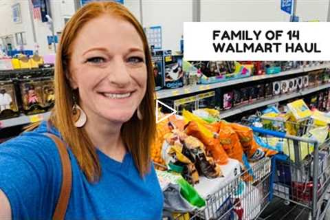 FAMILY OF 14 WALMART HAUL