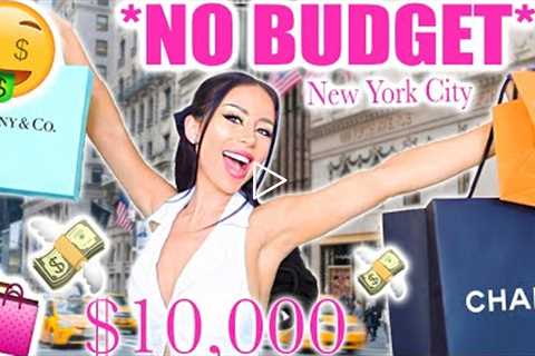 No Budget Shopping Spree: New York City!