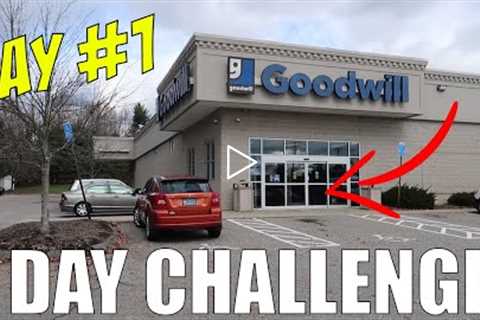 6 Day Goodwill Thrifting Challenge | Can Going to the Same Goodwill Everyday Make You Money? Day [1]