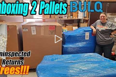 Unboxing 2 Pallets and we found trees!!! We unbox them from Bulq.com - Uninspected Returns