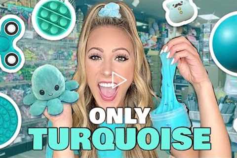 TURQUOISE ONLY FIDGET SHOPPING CHALLENGE 👗🧼🧤