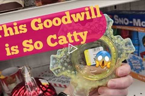 This Goodwill is So Catty - Shop Along With Me - Goodwill Thrift Store