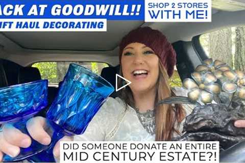 BACK AT GOODWILL! | Goodwill Haul | Thrift With Me | Decorating On A Budget | Thrift Haul