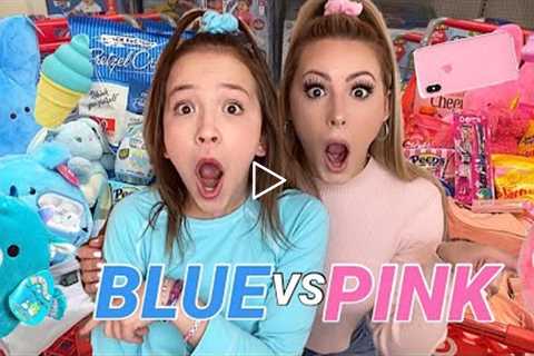 ULTIMATE PINK 💗 VS BLUE 💙 SHOPPING CHALLENGE!