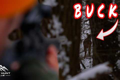 Big Woods Deer Tracking | Deer Hunting in New York