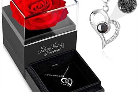 WILDLOVE Preserved Real Rose with Necklace in 100 Languages – Women Gifts for Christmas – Love..