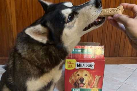 Milk-Bone Dog Treats Biscuits 10-Pound Box Only $9.74 Shipped on Amazon (Regularly $15)