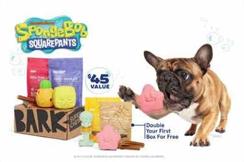 Amazon Subscription Boxes for Pets, Dog version.