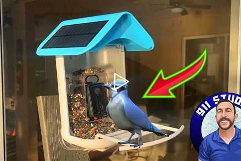 Smart Bird Feeder with Camera - 1080P HD Auto Capture Bird Videos