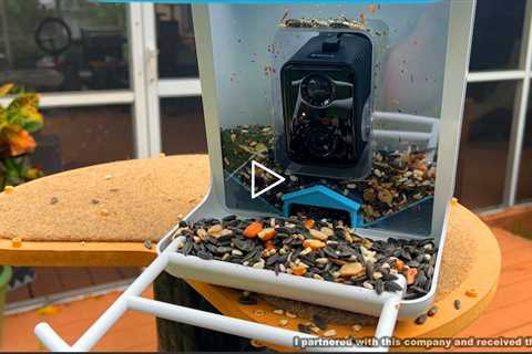 LKbird Smart Bird Feeder with Camera & Free AI Bird Recognition Software