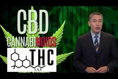 CBD 101: a lesson in cannabinoids