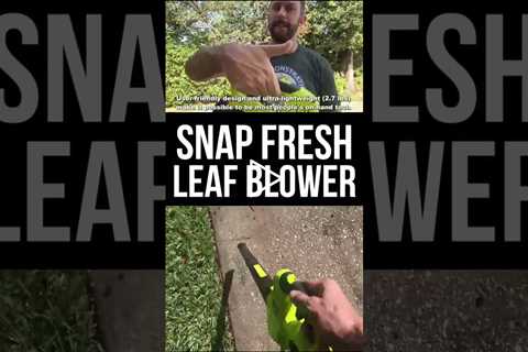 Amazon Snap Fresh 20V Cordless Leaf Blower and Charger