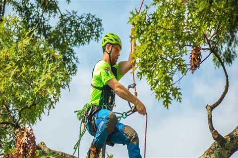 Why is tree pruning so expensive?