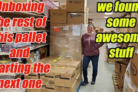 Unboxing 2 pallets and checking out all the amazing items. Squismallows!!!