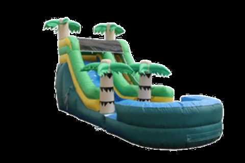 What Is The Best Water Slide Az Business? | Phoenix Water Slide Rentals Tips & News