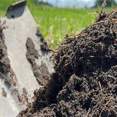 Organic Soil Amendments for Sustainable Farming in Oahu