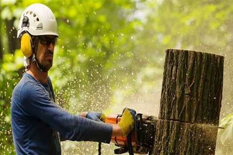 What does isa stand for arborist?