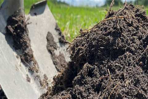 Organic Soil Amendments for Sustainable Farming in Oahu