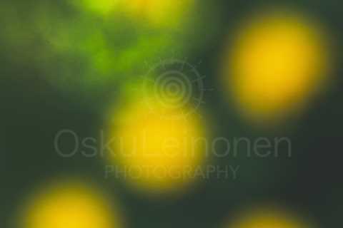 Abstract Flowers XXI (Golden Yellow)