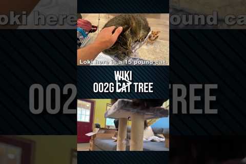 Wiki Cat Tree Review