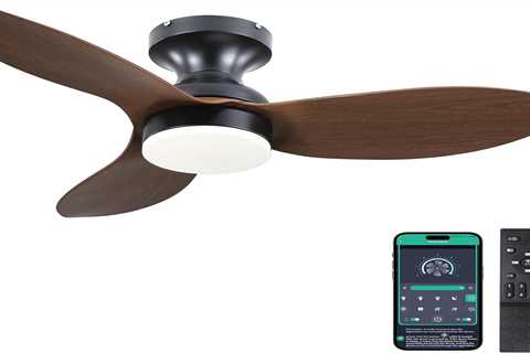 Surtime Ceiling Fan Review