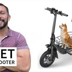 Every Pet Owner Should Consider the Gyroor C1S E-Scooter | Features & Benefits