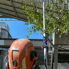 The Advantages Of Hiring A Tree Service Company In Orange County With Complete Tree Service..