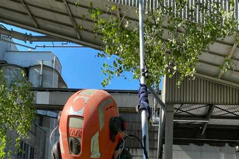 The Advantages Of Hiring A Tree Service Company In Orange County With Complete Tree Service..