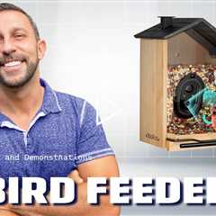 bbpEco Smart Bird Feeder