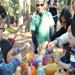 Exploring Volunteer Opportunities at Shopping Festivals in Central Virginia