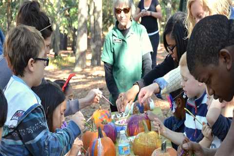 Exploring Volunteer Opportunities at Shopping Festivals in Central Virginia