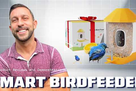 Dzees Smart Bird Feeder with Camera, 32G Card, AI Identify Birds Species