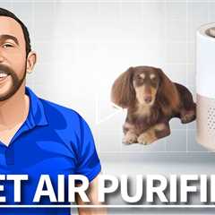 PetSnowy Air Purifier for Pets