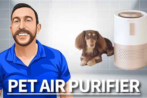 PetSnowy Air Purifier for Pets