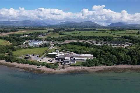 Welsh family food firm on the verge of collapse – 90 jobs hanging by a thread after century of..