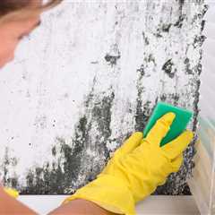 Your House is Basically a Petri Dish (And Five Ways to Fix It Without Going Broke)
