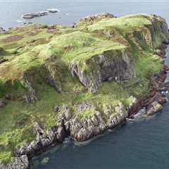 This Scottish Island Costs Less Than My Mate's London Flat (And It Comes With Dolphins)