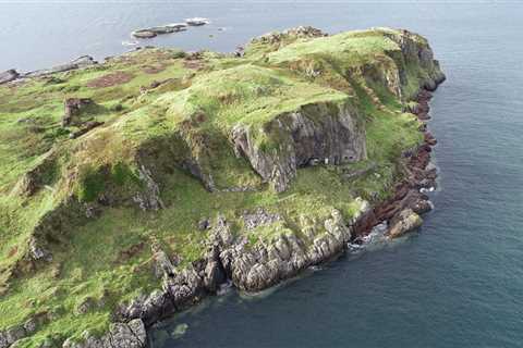 This Scottish Island Costs Less Than My Mate's London Flat (And It Comes With Dolphins)