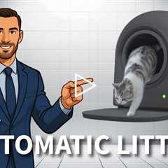 HHOLOVE Automatic Cat Litter Box Pro - Hands-Free Cleaning, Alerts w/ App, Odor & Scatter Control