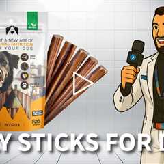 INVIROX Bully Sticks For Dogs - High-Protein 100% Natural Bully Sticks for Dogs - FDA Approved
