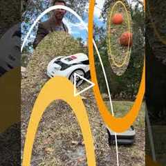 RoboUP Raccoon 2 SE - The Ideal Robot Mower for Small Lawns - Under $600