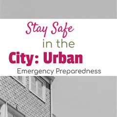 Discover the secrets of urban disaster planning in When the City Stops Working by David Goldman.