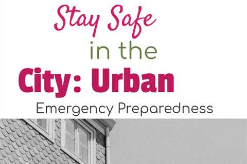 Discover the secrets of urban disaster planning in When the City Stops Working by David Goldman.