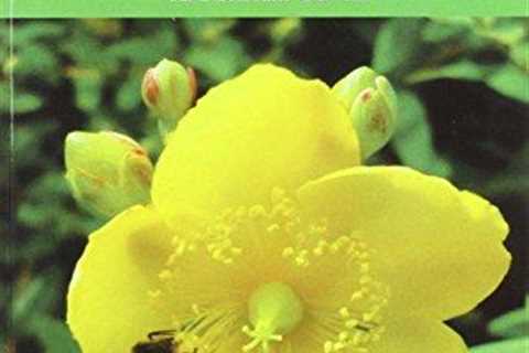 Beekeeping Handbook for Scottish Beekeepers