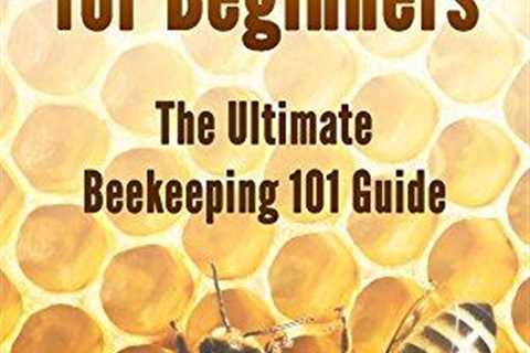 Beekeeping Basics: A Beginner’s Guide to Success