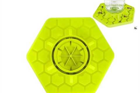 Mason Jar Bee Feeder and Watering Station