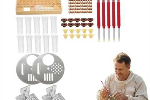 Bee Keeping Starter Kit with Queen Rearing Tools