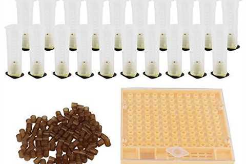 Queen Bee Rearing Box and Cup Kit